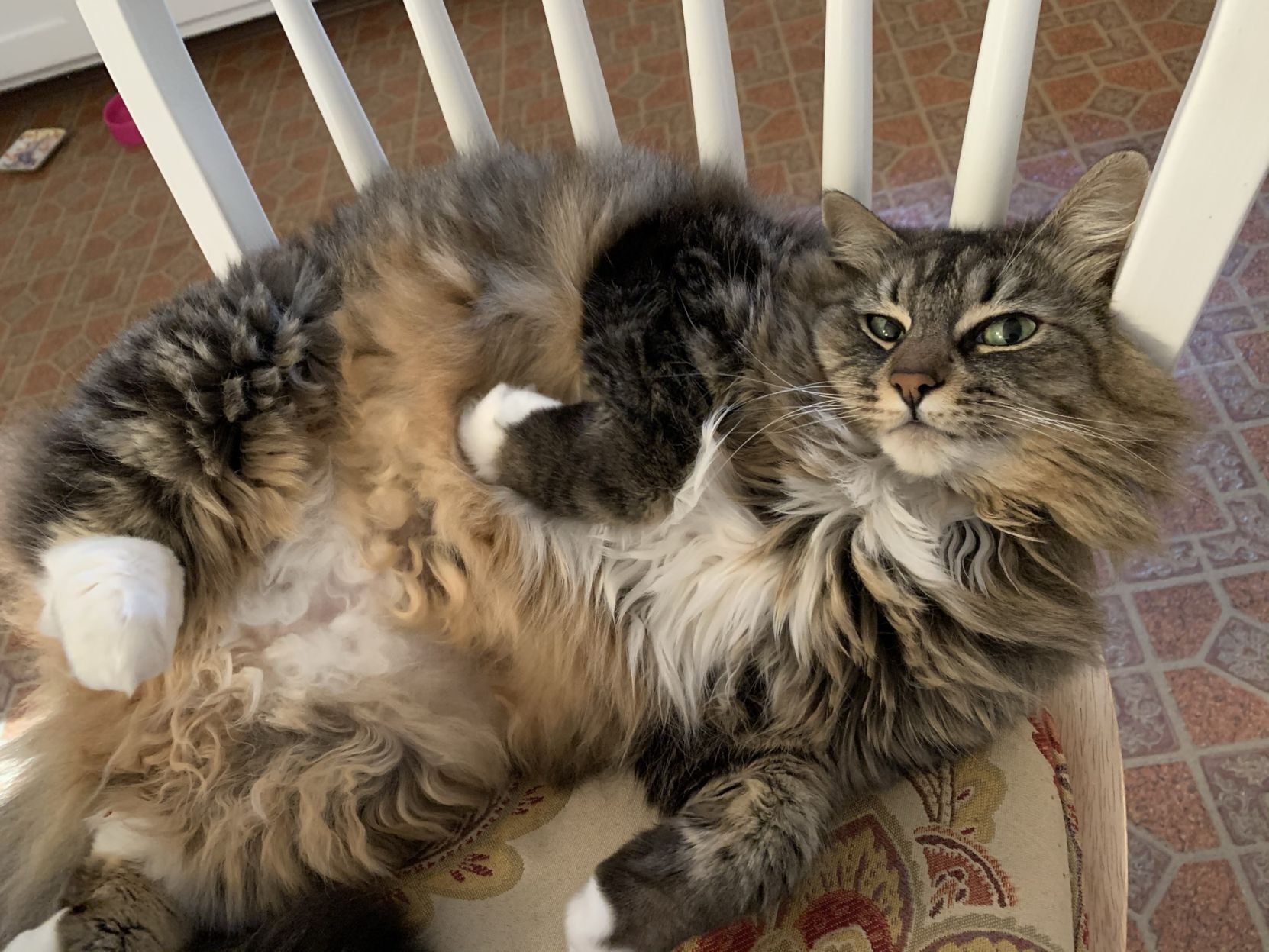 Fluffy Edna
